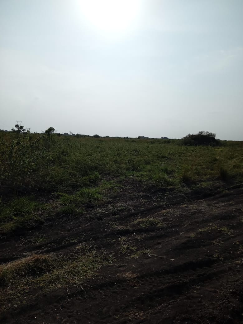 25 Acres of Land