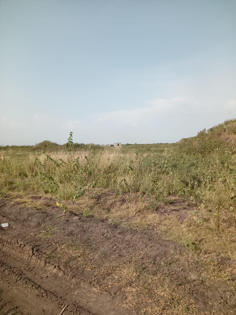 25 Acres of Land
